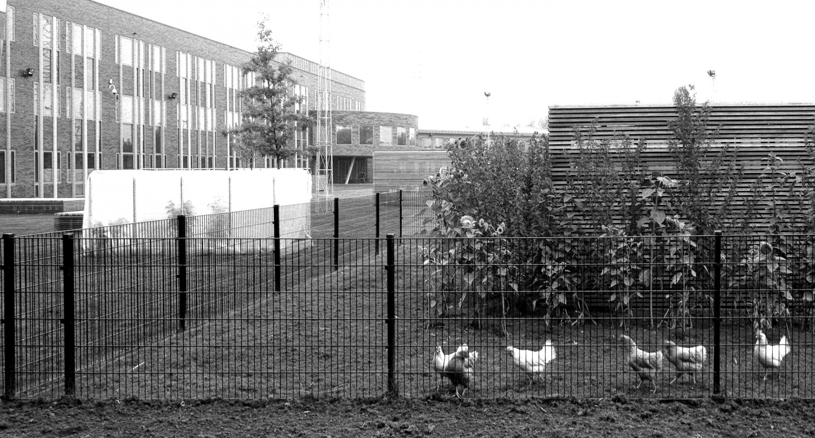 Abscis Architecten - 