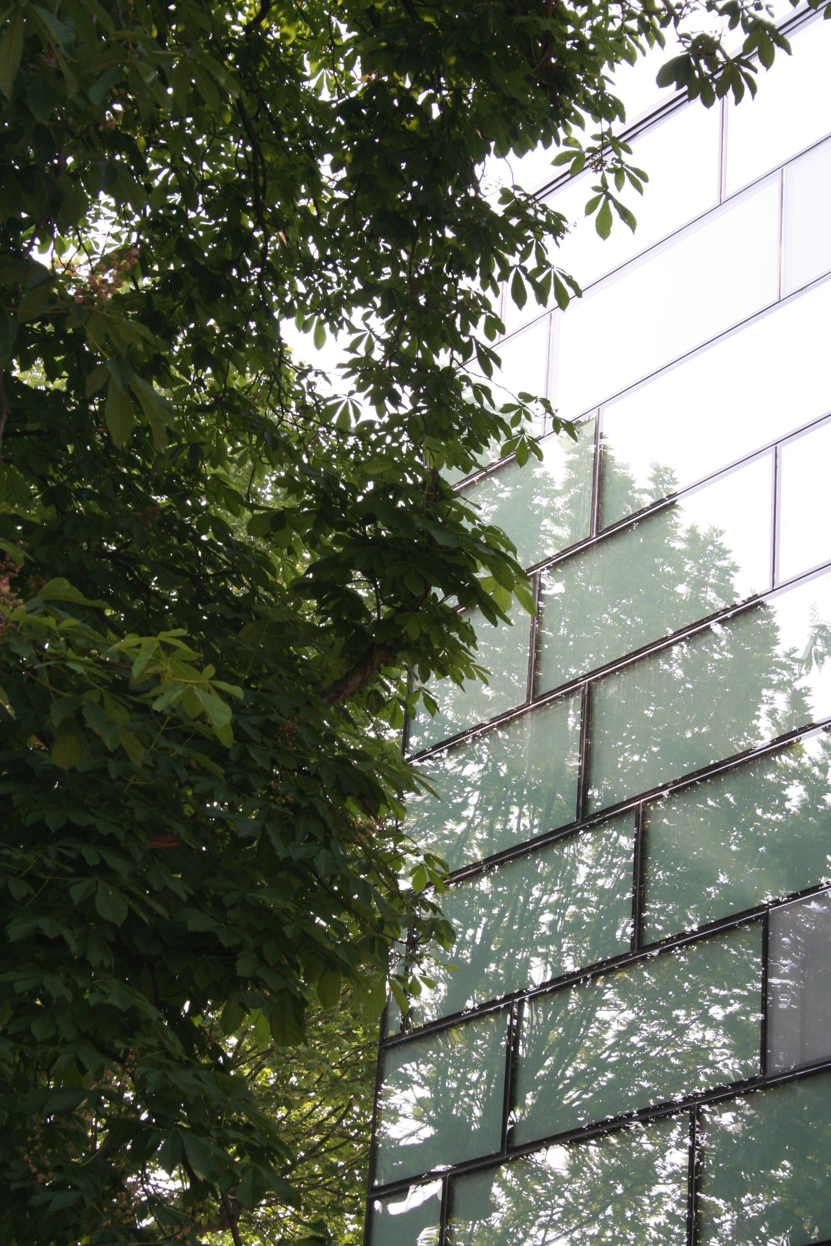 Abscis Architecten - 